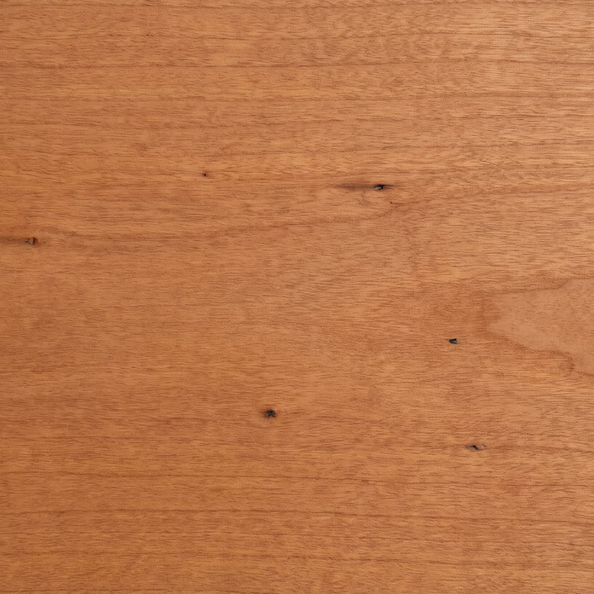 Illustration of the same cherry after light exposure, darkened to a deep reddish brown